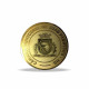 Medalha em banho ouro Personalizada