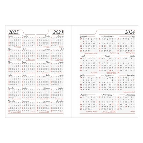 Agenda Diária 2025 Personalizada