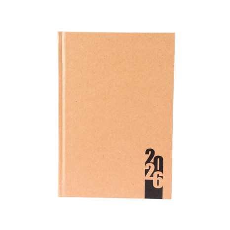 Agenda Diária 2025 Personalizada